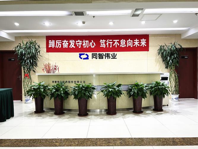 同創(chuàng)偉業(yè)杜玲，同創(chuàng)偉業(yè)公司簡介